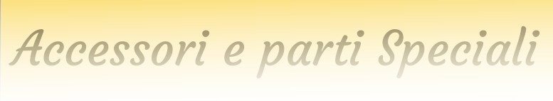 Accessori e parti Speciali